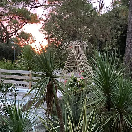 Bed & Breakfast Du Cap - D'hotes 4*