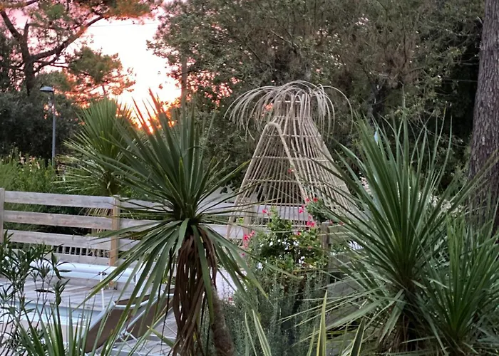 Bed & Breakfast Du Cap - D'hotes *